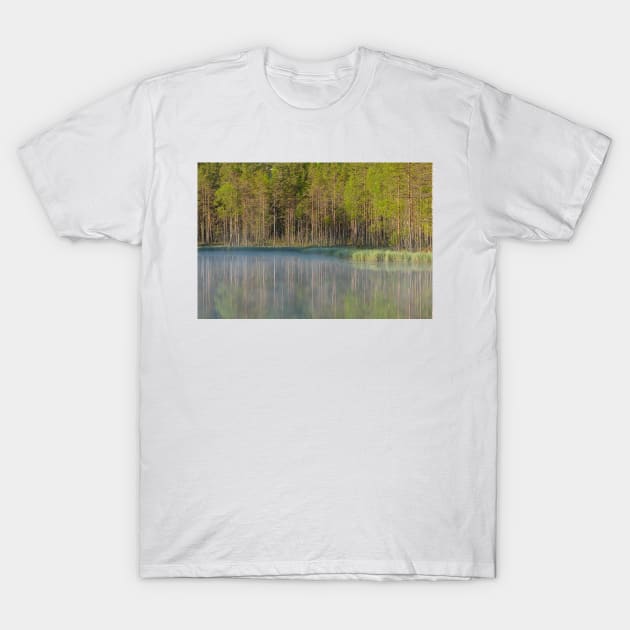 Forest reflecting to small lake at morning T-Shirt by Juhku